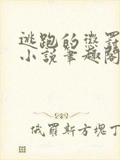 逃跑的惩罚木马小说笔趣阁最新章节
