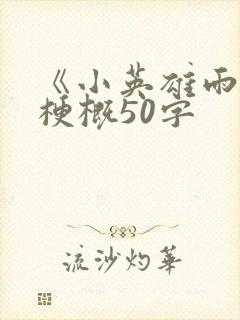 《小英雄雨来》梗概50字