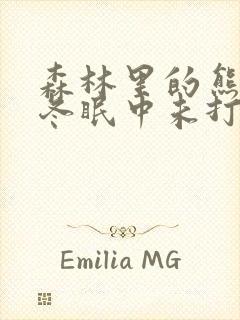 森林里的熊先生冬眠中未打码