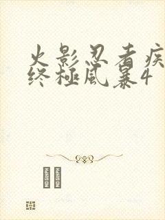 火影忍者疾风传终极风暴4