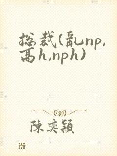 总裁(乱np,高h,nph)封面
