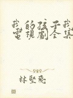 我的孩子我的家电视剧全集完整版封面