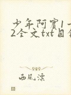 少年阿宾1一72全文txt目录