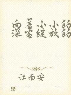 向着小小的花蕾深处绽放的花封面