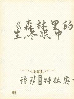 《森林里的熊先生,冬眠中封面