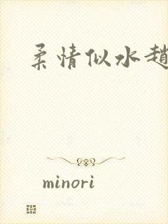 柔情似水赵雅儿封面