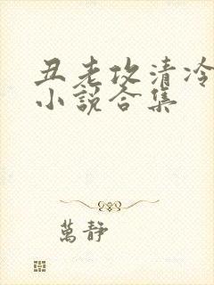 丑老攻清冷美人小说合集