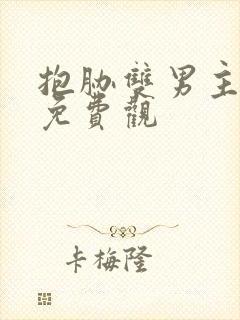 抱胁双男主泰剧免费观封面