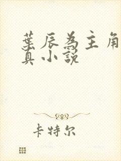 叶辰为主角的修真小说封面