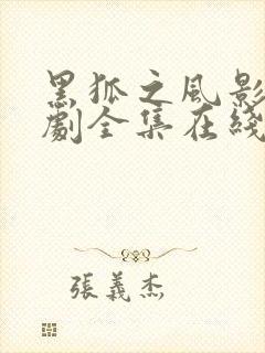 黑狐之风影电视剧全集在线观看免费封面