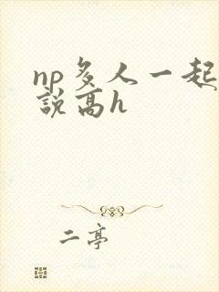 np多人一起小说高h
