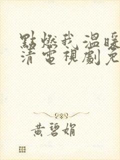 点燃我温暖你高清电视剧免费观看