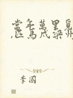 当年万里觅封侯,匹马戍梁州封面