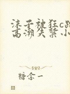 沫子被狂c躁到高潮失禁小说