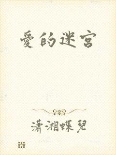 爱的迷宫封面