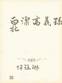 白洁高义孙倩小北封面