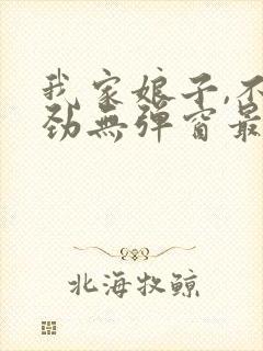 我家娘子,不对劲无弹窗最新章节