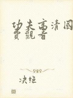 功夫高清国语免费观看