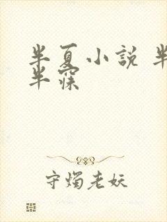 半夏小说 半明半寐