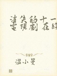 消失的十一层 电视剧 在线观看封面