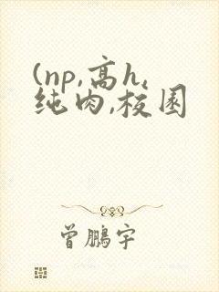 (np,高h,纯肉,校园封面