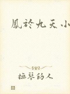 凤于九天小说