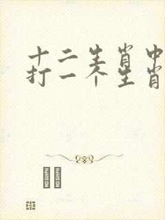 十二生肖中一个打一个生肖