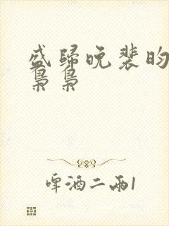 盛归晚裴昀初沈枭枭