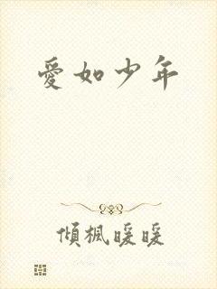 爱如少年