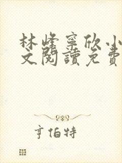 林峰宁欣小说全文阅读免费阅读正版