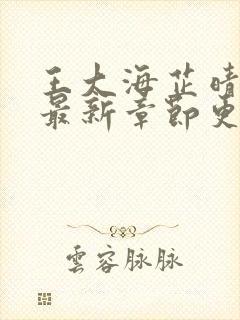 王大海芷晴小说最新章节更新时间