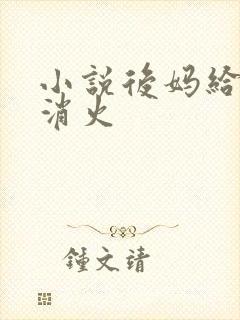 小说后妈给我消消火