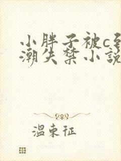 小胖子被c到高潮失禁小说