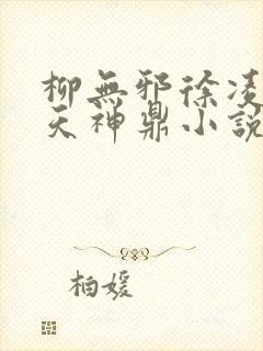 柳无邪徐凌雪吞天神鼎小说