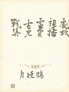 战士电视剧40集免费播放