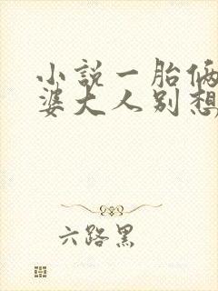 小说一胎俩宝老婆大人别想逃