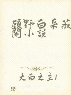 顾野白采薇笔趣阁小说