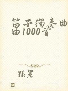 笛子独奏曲伴奏曲1000首