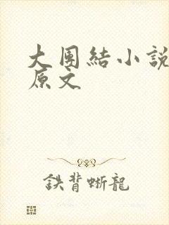 大团结小说阅读原文