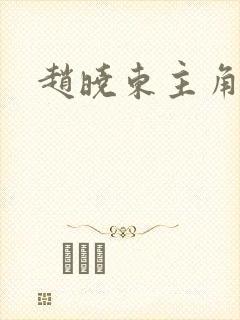 赵晓东主角小说