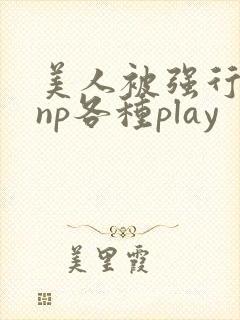 美人被强行糟蹋np各种play