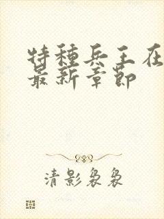 特种兵王在山村最新章节封面