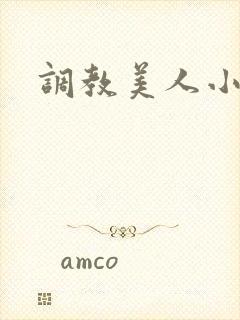 调教美人小说封面