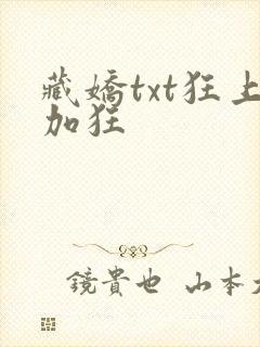 藏娇txt狂上加狂