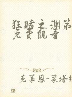 狂赌之渊第二季免费观看