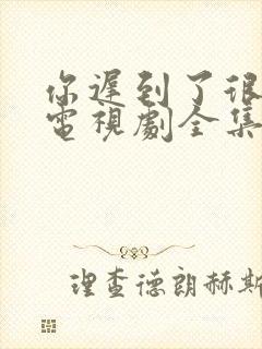 你迟到了很多年电视剧全集免费观看