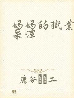 妈妈的职业2李采潭