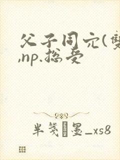 父子同穴(双性,np.总受