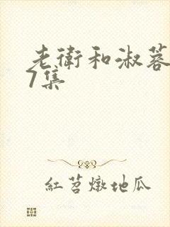 老卫和淑蓉1一7集