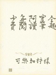 少年阿宾全文免费阅读笔趣阁